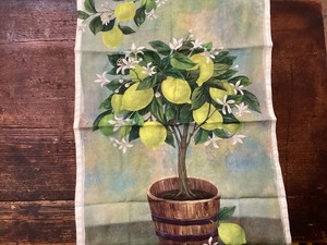 TEA TOWEL citrus