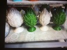 Hand Made CERAMIC ARTICHOKE Colour CASTELLI , Green,antic white, black