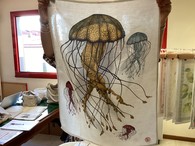 Asciughino MEDUSA
